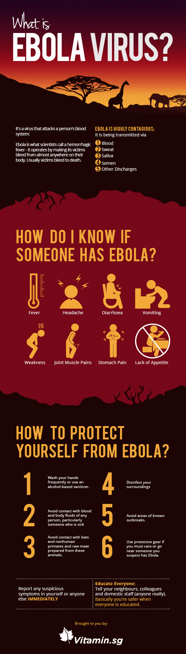 EbolaInfographics