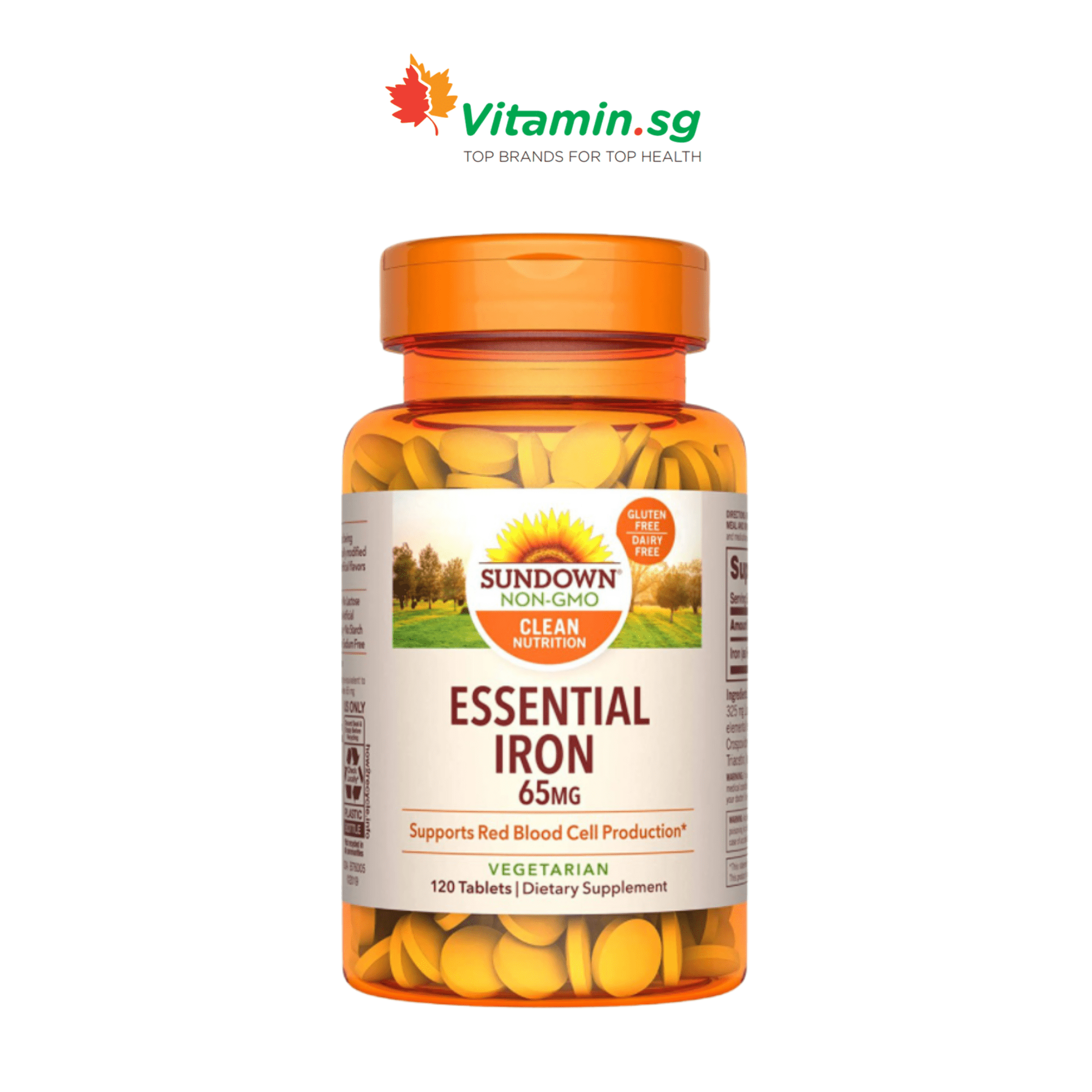 Sundown Naturals Essential Iron 65mg 120 Tabs Vitamin SG